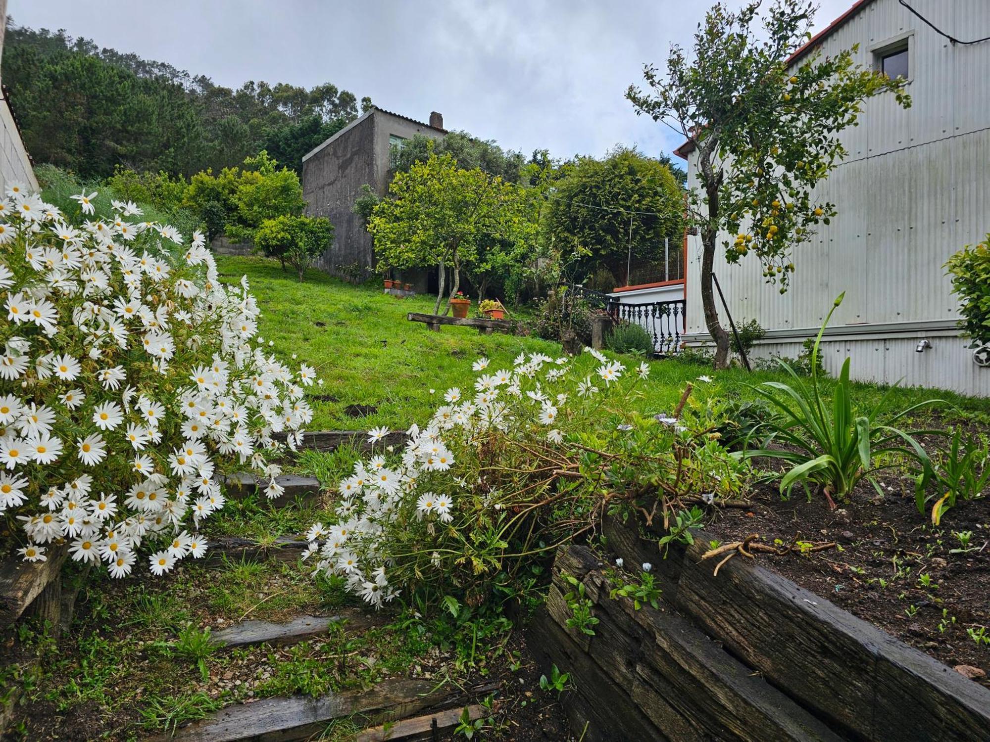 カマリーニャス Casa Do Pescador - Camelle - Costa Da Morteヴィラ エクステリア 写真